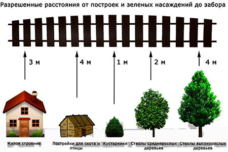 Посадка деревьев фото